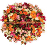 Amazing Multicoloured Spray Roses Basket - Flowers Box London