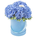 Bird on Blue Flower Box - Flowers Box London