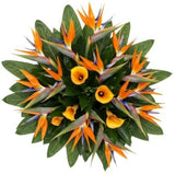 Birds of Paradise and Calla Lily Flowers Bouquet - Flowers Box London
