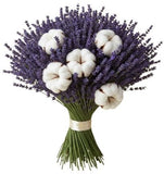 Bouquet Cotton and Lavender - Flowers Box London