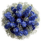 Bouquet Delphinium with White Gypsophila - Flowers Box London