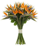 Bouquet of Luxury Birds of Paradise Flowers - Flowers Box London