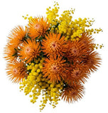 Bouquet of Mimosa and Leucospermum