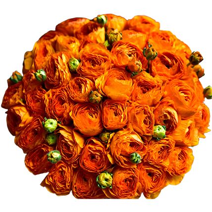 Bouquet of Orange Ranunculus