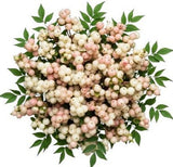 Bouquet of White and Pink Blush Snowberries - Flowers Box London