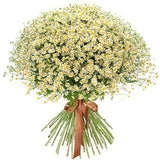 Cheerful Tanacetum Bouquet - Flowers Box London