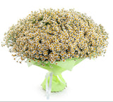 Cheerful Tanacetum Bouquet - Flowers Box London
