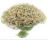 Cheerful Tanacetum Bouquet - Flowers Box London