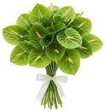 Classic Anthurium Bouquet - Flowers Box London
