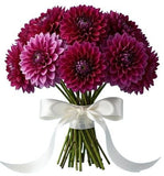 Classic Cerise Dahlia Bouquet - Flowers Box London