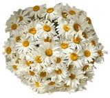 Classic Daisies Bouquet - Flowers Box London