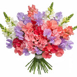 Colourful Sweet Pea with Snapdragon Bouquet - Flowers Box London