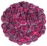 Copper Extasis Carnations Bouquet - Flowers Box London