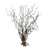 Corylus Contorta Branches: Adding a Touch of Nature's Artistry - Flowers Box London