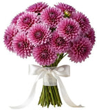 Cute Pink Dahlia Bouquet - Flowers Box London