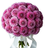 Cute Pink Dahlia Bouquet - Flowers Box London