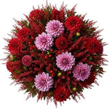 Dahlia and Astilbe Pretty Bouquet - Flowers Box London