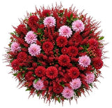 Dahlia and Astilbe Pretty Bouquet - Flowers Box London