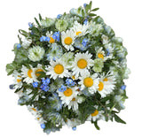 Daisies with Nigella and Forget Me Not Bouquet - Flowers Box London