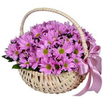 Daisy Chrysanthemum in the Basket