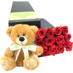 Dozen Roses with Cute Teddy Bear Gift Set - Perfect Gift for Any ...