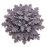 Frosted Pink Oak Leaves Bouquet - Flowers Box London
