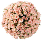 Light Pink Spray Roses Bouquet - Flowers Box London