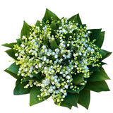 Lily of Valley Bouquet - Flowers Box London