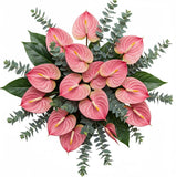 Luxury Anthurium with Eucalyptus Bouquet - Flowers Box London