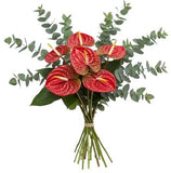 Luxury Anthurium with Eucalyptus Bouquet - Flowers Box London