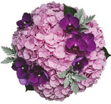 Luxury Bouquet of Hydrangea and Phalaenopsis Orchids - Flowers Box London