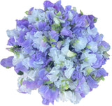 Luxury Bouquet of Lavender and White Sweet Pea - Flowers Box London