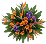 Luxury Bouquet of Strelitzia and Calla Lily with Blue Iris - Flowers Box London