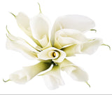 Luxury White Calla Lily Bouquet - Flowers Box London