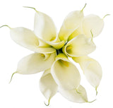 Luxury White Calla Lily Bouquet - Flowers Box London