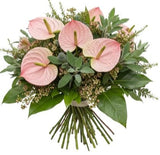 Pink Anthurium with Wax Flowers and Greenery Bouquet - Flowers Box London