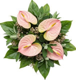 Pink Anthurium with Wax Flowers and Greenery Bouquet - Flowers Box London