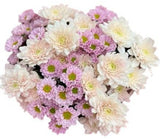 Pink Santini and Pastel Chrysanthemum Bouquet - Flowers Box London