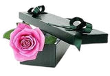 Pink Single Rose Luxury Box - Flowers Box London