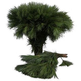 Pinus Strobus Short (H35cm) Branches: Elegant Eastern White Pine for Seasonal Decor - Flowers Box London