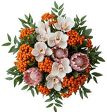 Rowan Glow and Protea Luxury Bouquet - Flowers Box London