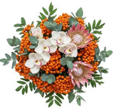 Rowan Glow and Protea Luxury Bouquet - Flowers Box London