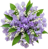 Sweet Pea and Lily of Valley Bouquet - Flowers Box London