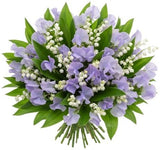 Sweet Pea and Lily of Valley Bouquet - Flowers Box London