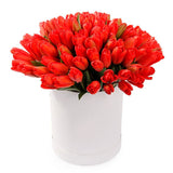 Tulips in a Box - Flowers Box London