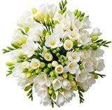 White Freesias Bouquet - Flowers Box London