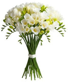 White Freesias Bouquet - Flowers Box London