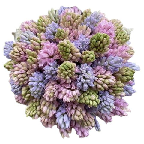 Pink and lavender hyacinth bouquet