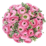 Bouquet of Pink Ranunculus with Pittosporum - Flowers Box London