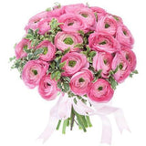 Bouquet of Pink Ranunculus with Pittosporum - Flowers Box London